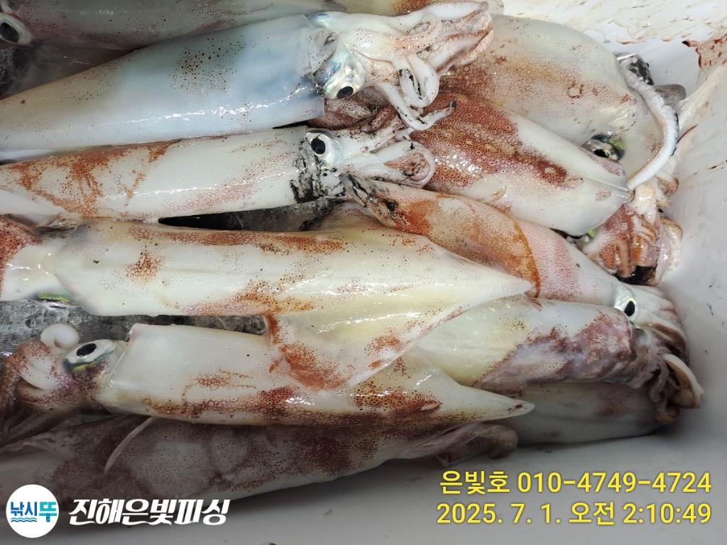 F27159569Y.jpg