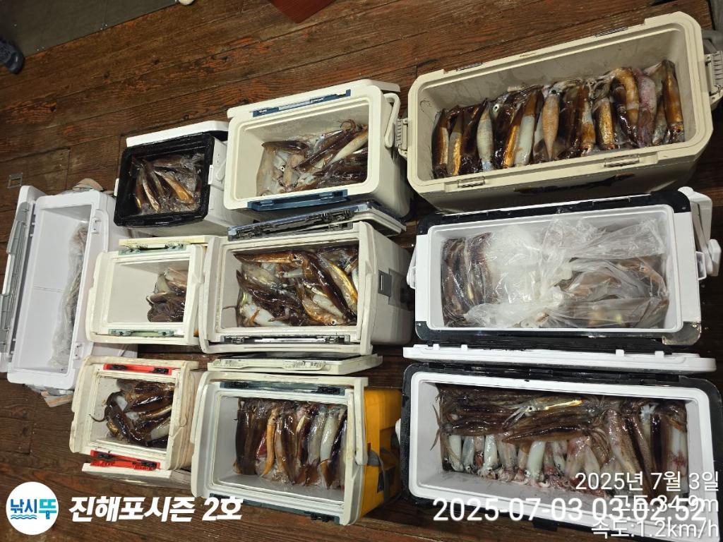 낚시뚜,오징어,한치,진해행암항,진해포시즌 2호,낚시뚜27