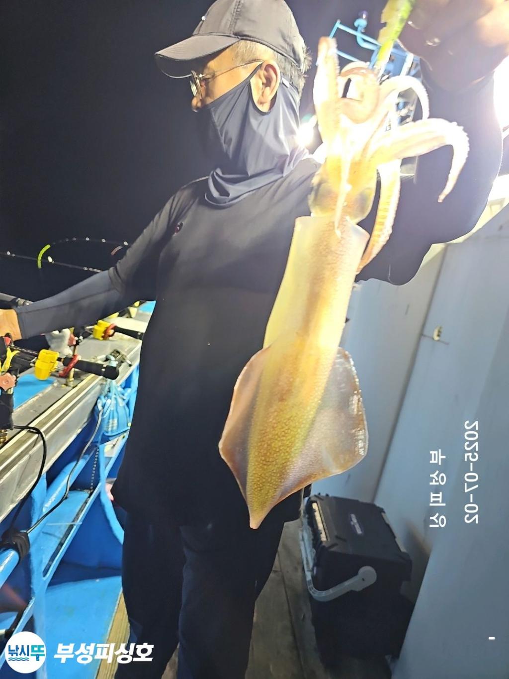 F2716794ES.jpg