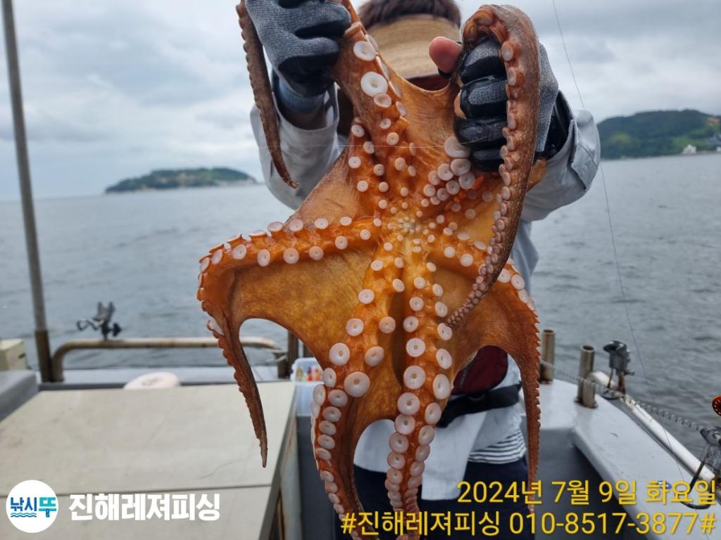 낚시뚜,돌문어,백조기,진해1부두항,진해레져피싱,낚시뚜6