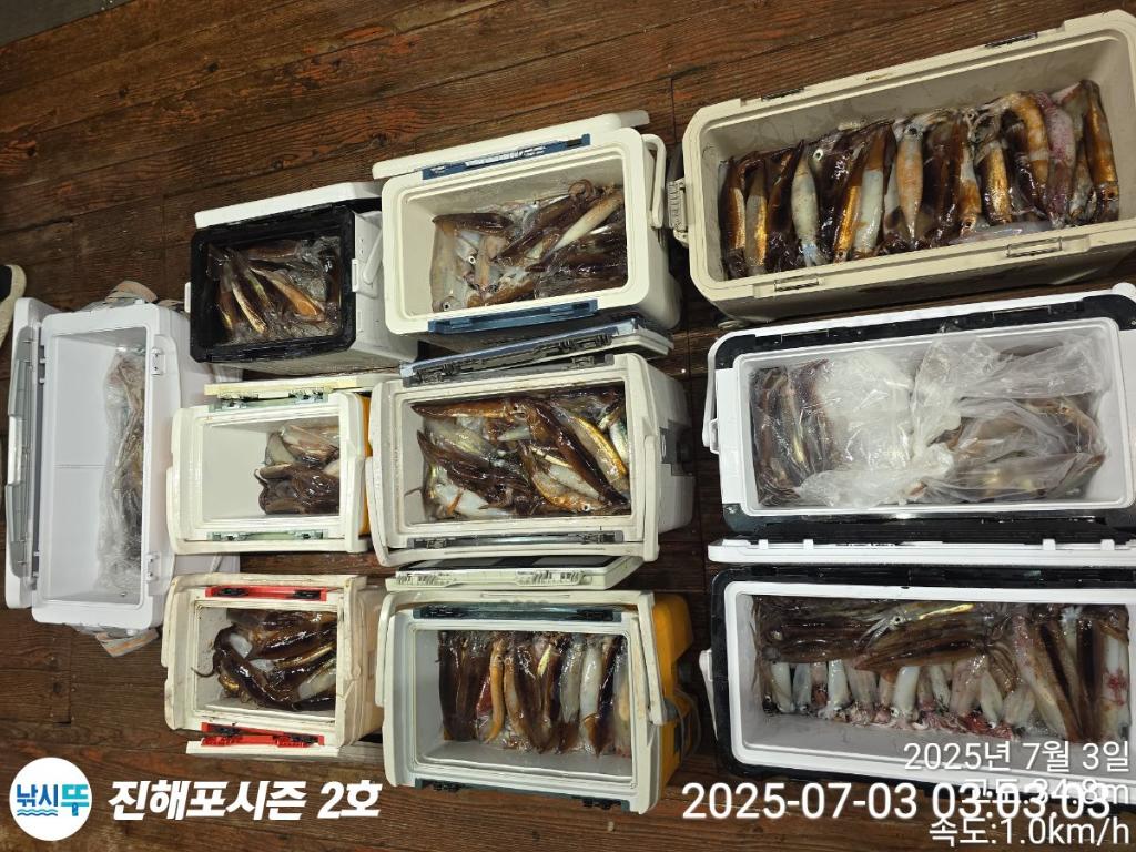 낚시뚜,오징어,한치,진해행암항,진해포시즌 2호,낚시뚜22