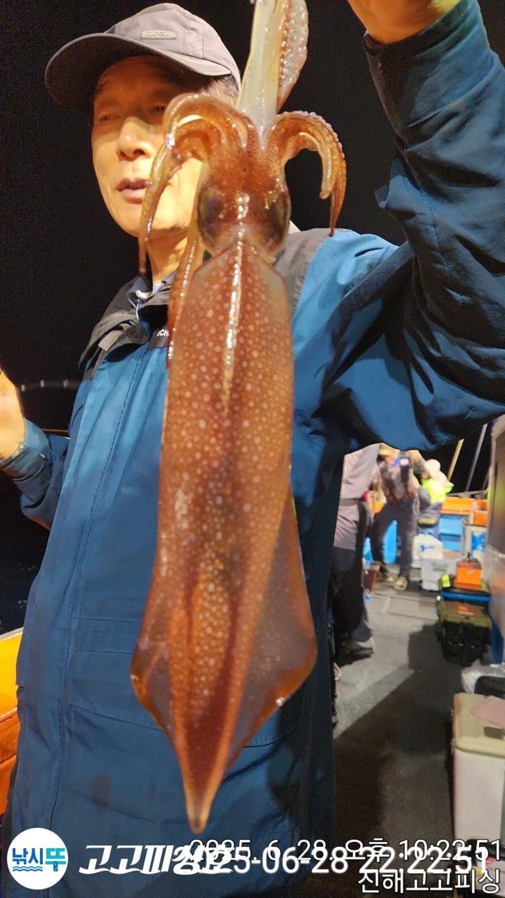 낚시뚜,한치,속천항(진해),고고피싱호,낚시뚜11