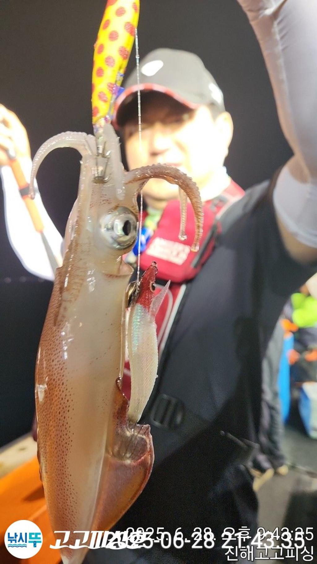 낚시뚜,한치,속천항(진해),고고피싱호,낚시뚜10