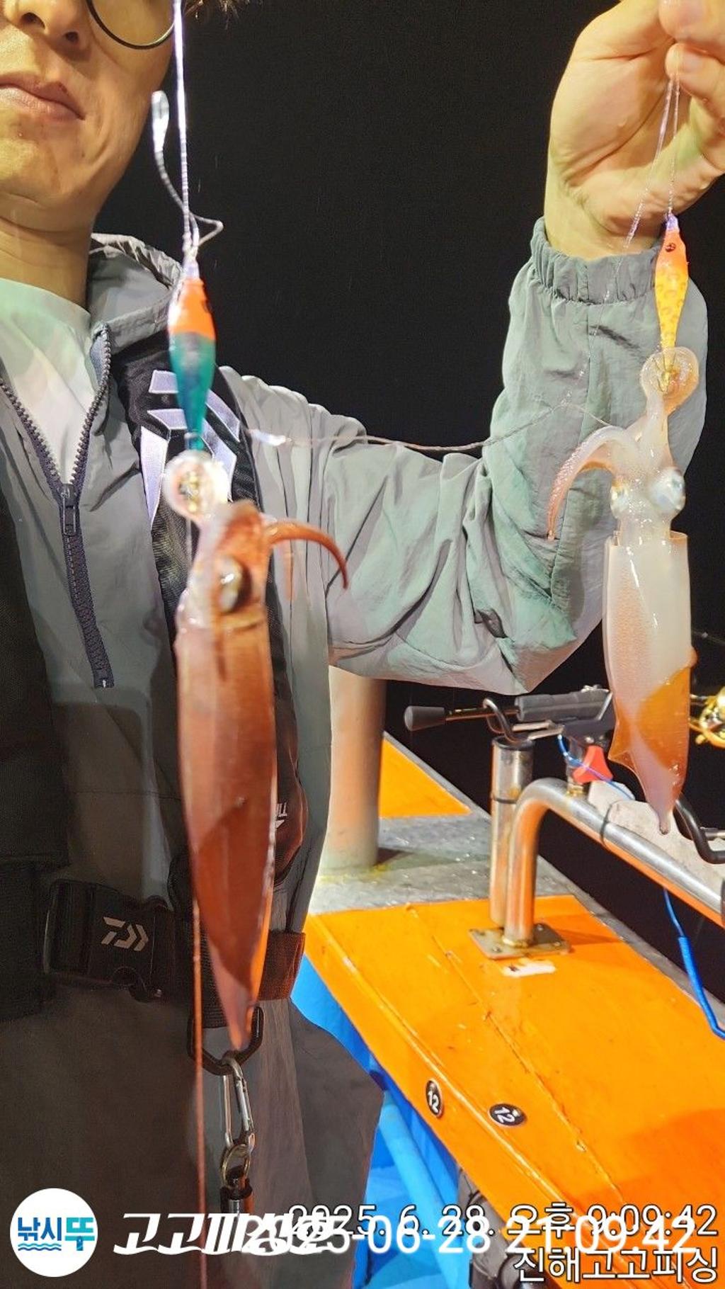 낚시뚜,한치,속천항(진해),고고피싱호,낚시뚜7