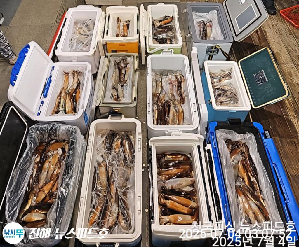 낚시뚜,한치,진해행암항,진해 뉴스피드호,낚시뚜19