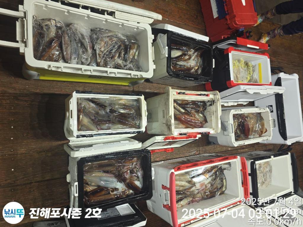 낚시뚜,오징어,한치,진해행암항,진해포시즌 2호,낚시뚜22
