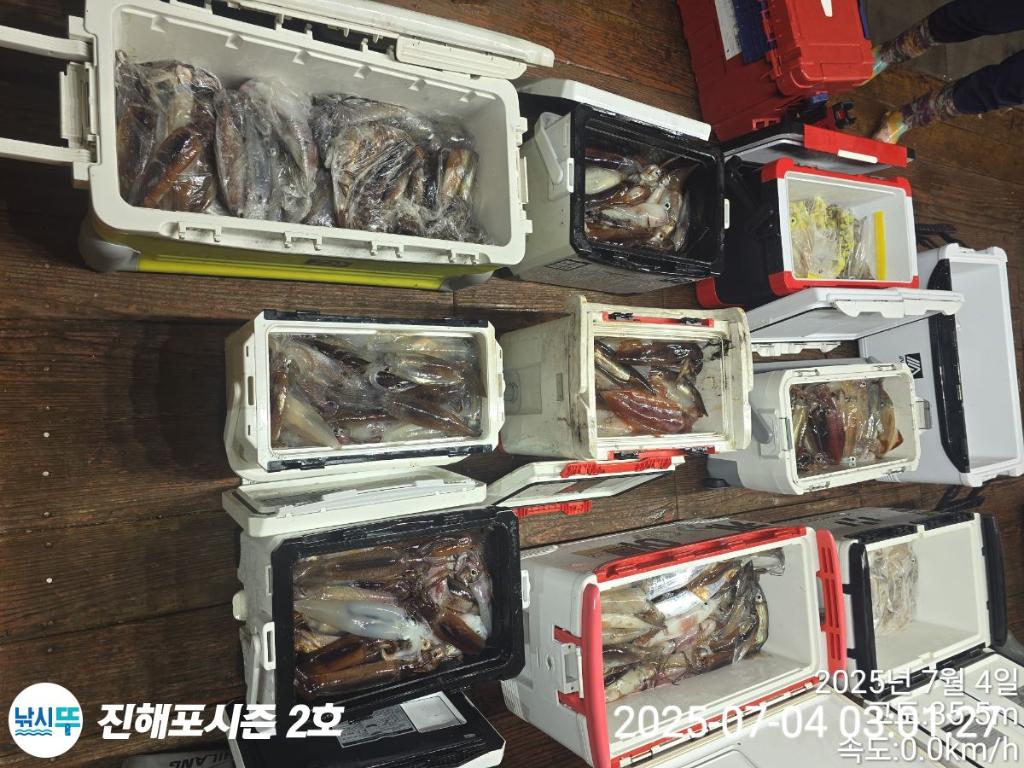 낚시뚜,오징어,한치,진해행암항,진해포시즌 2호,낚시뚜21