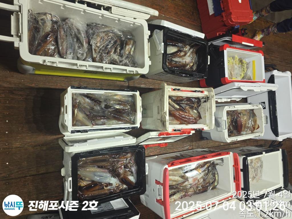 낚시뚜,오징어,한치,진해행암항,진해포시즌 2호,낚시뚜20