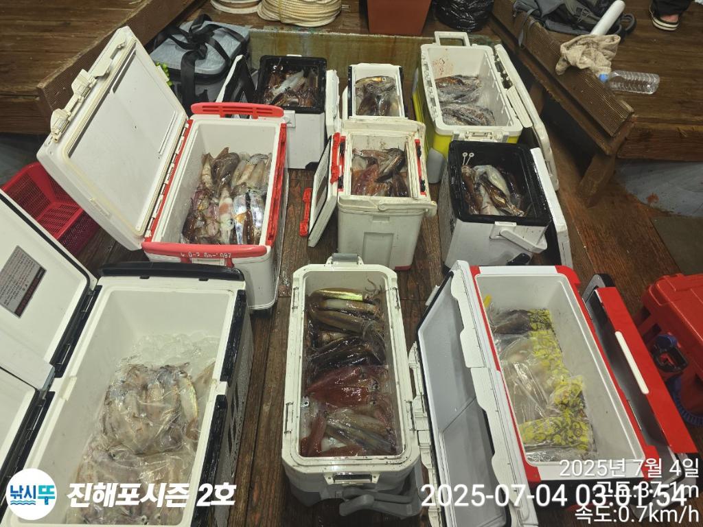 낚시뚜,오징어,한치,진해행암항,진해포시즌 2호,낚시뚜19