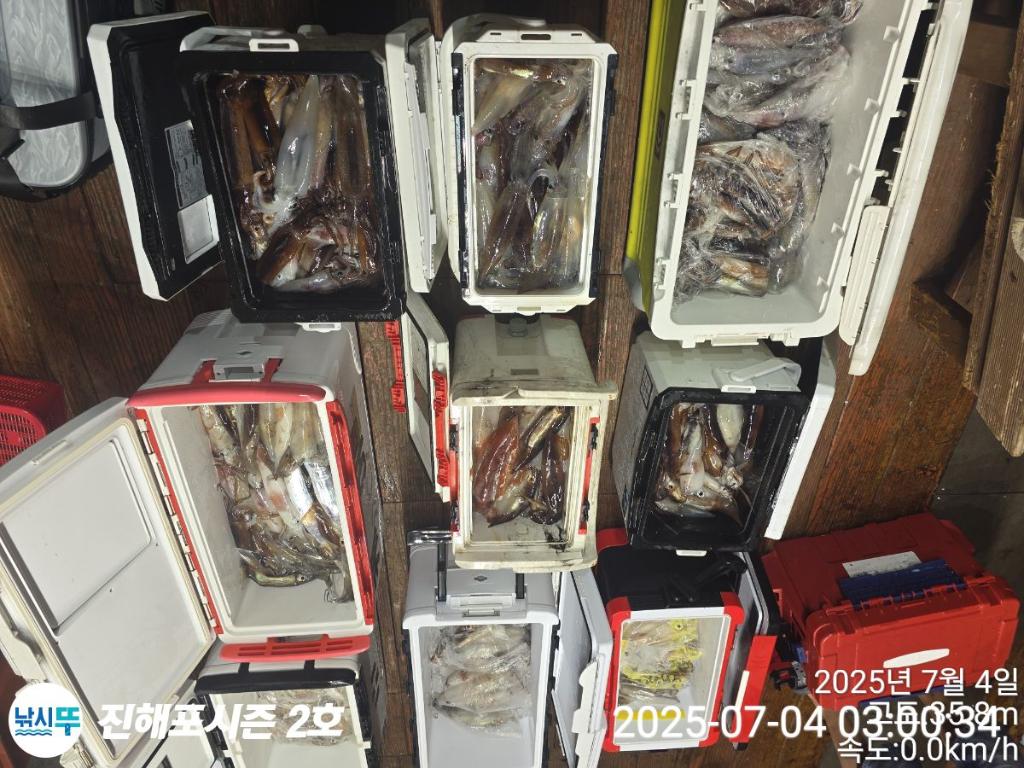 낚시뚜,오징어,한치,진해행암항,진해포시즌 2호,낚시뚜2