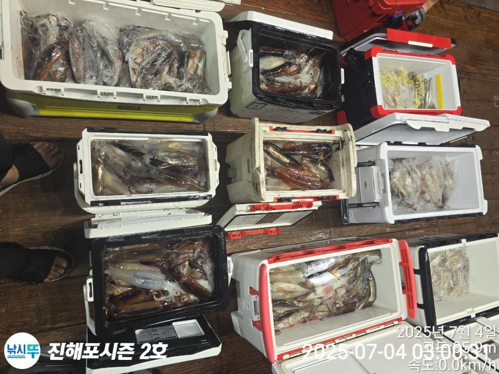 낚시뚜,오징어,한치,진해행암항,진해포시즌 2호,낚시뚜1