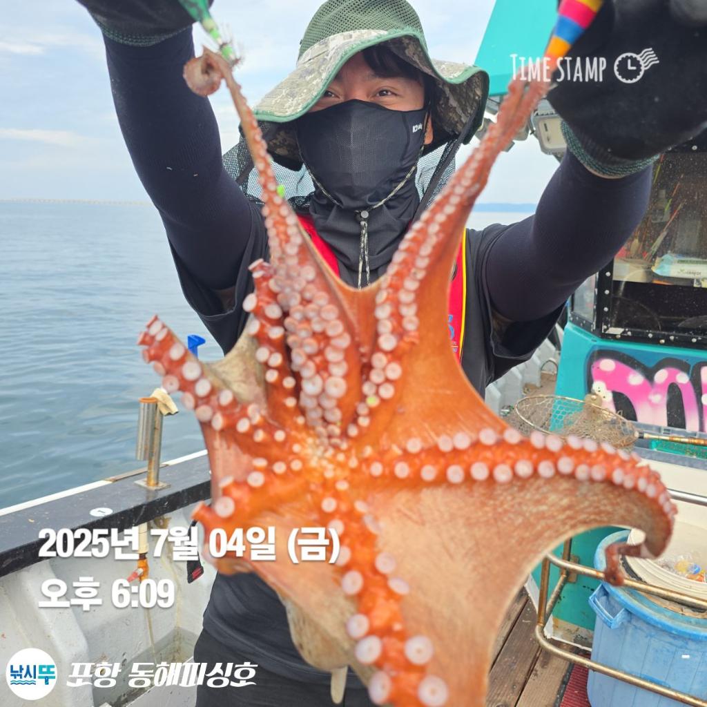낚시뚜,돌문어,포항(운하관),포항 동해피싱호,낚시뚜5