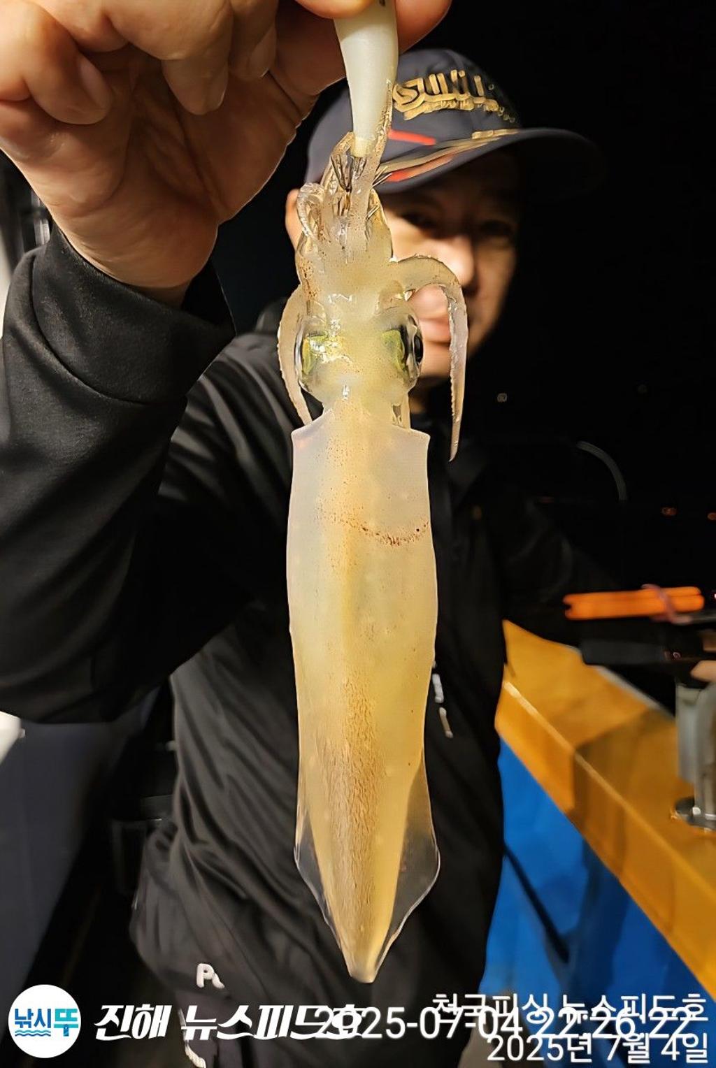 낚시뚜,한치,진해행암항,진해 뉴스피드호,낚시뚜3