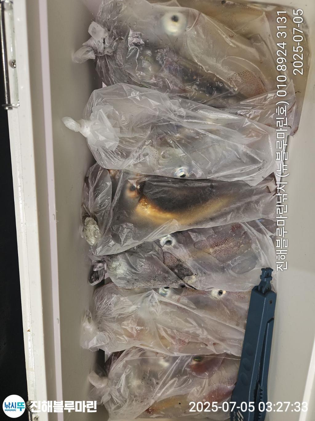 낚시뚜,한치,진해수도항,진해블루마린낚시,낚시뚜24