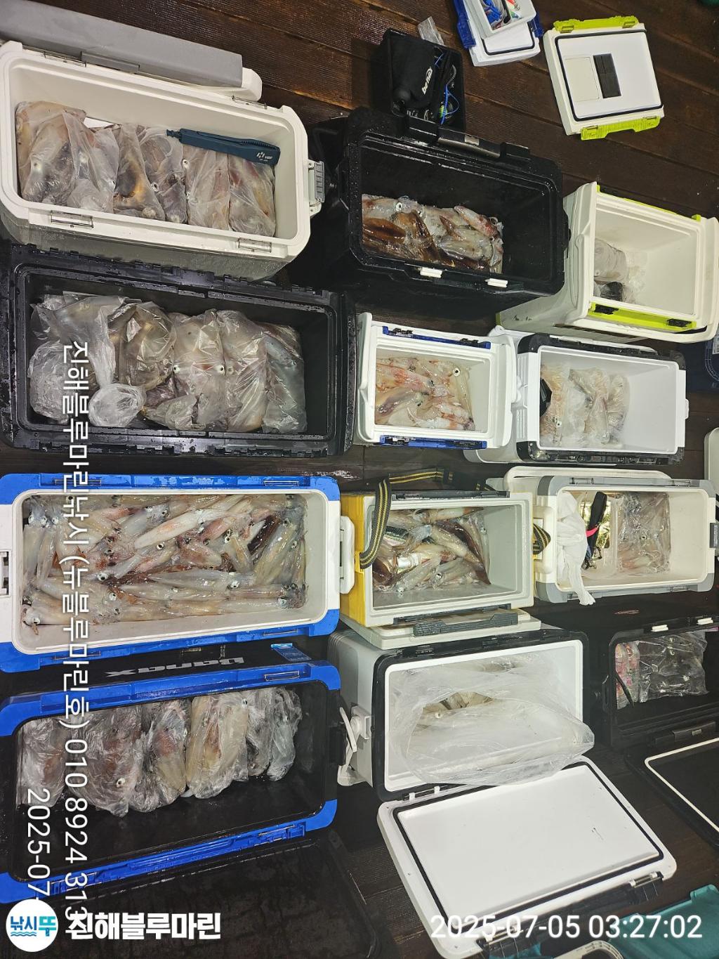 낚시뚜,한치,진해수도항,진해블루마린낚시,낚시뚜3