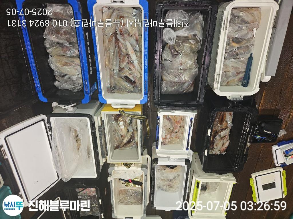 낚시뚜,한치,진해수도항,진해블루마린낚시,낚시뚜2