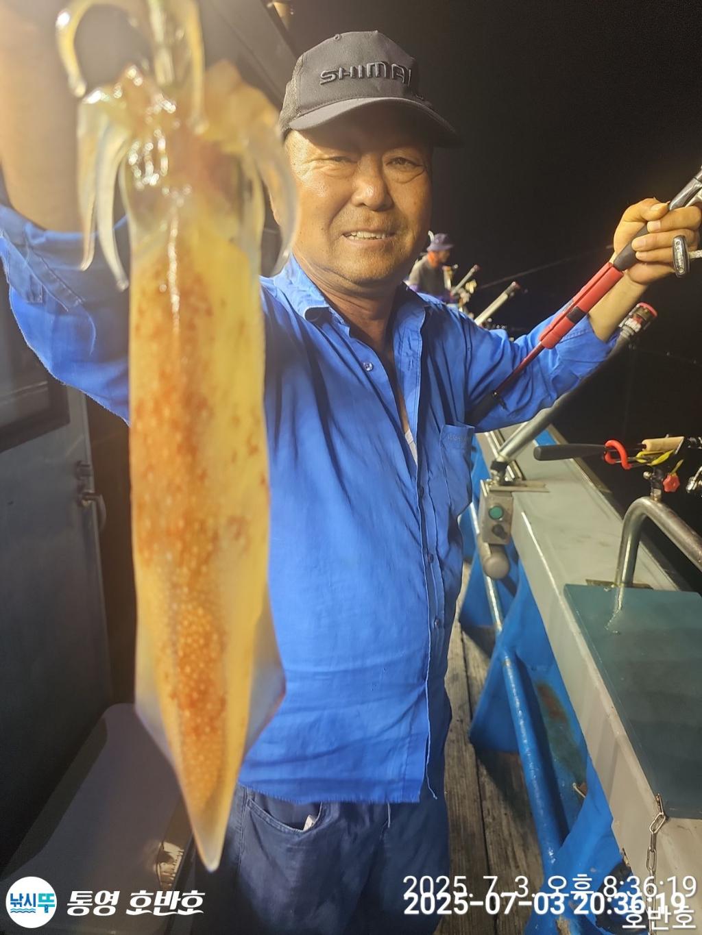 낚시뚜,한치,통영 신전항,통영호반호,낚시뚜14