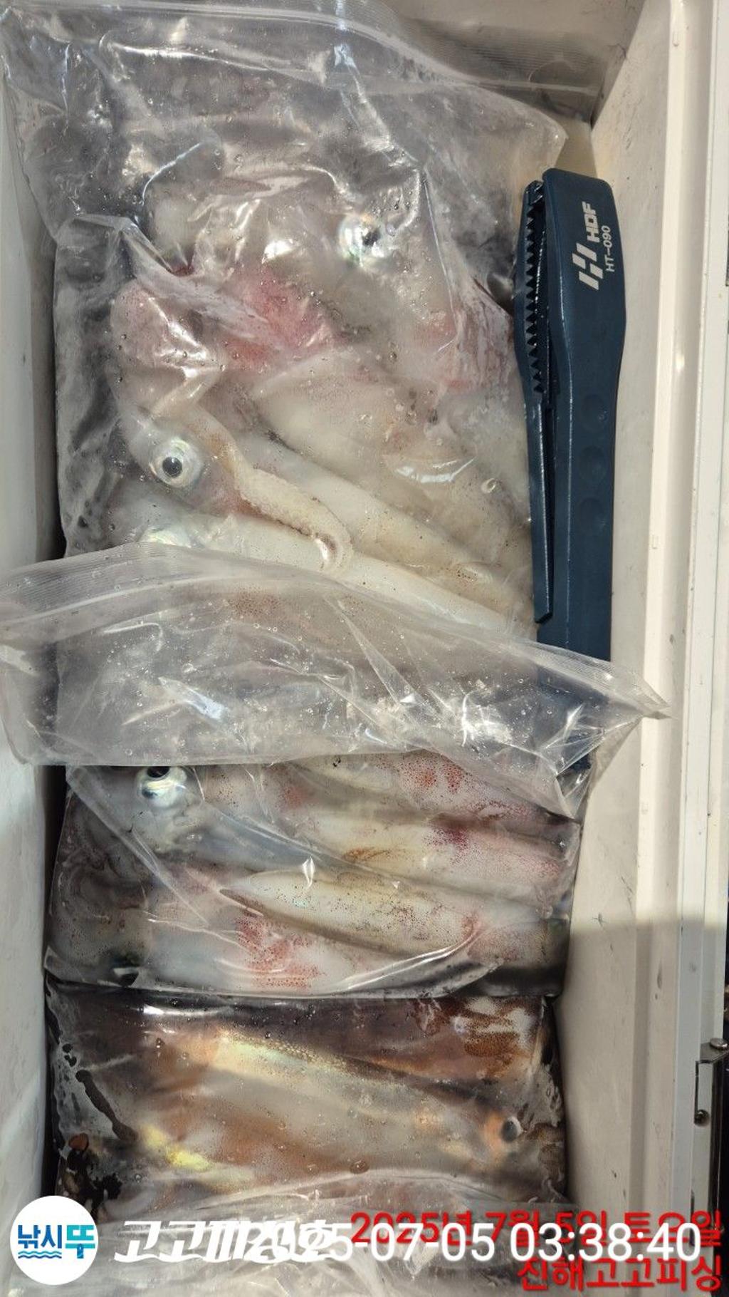 낚시뚜,한치,속천항(진해),고고피싱호,낚시뚜20