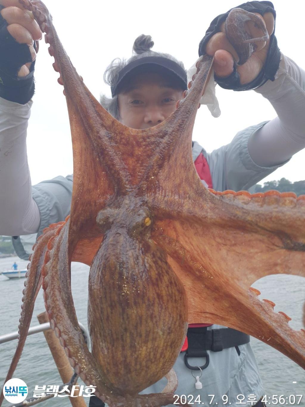 낚시뚜,돌문어,삼천포 팔포항,삼천포 블랙스타,낚시뚜5