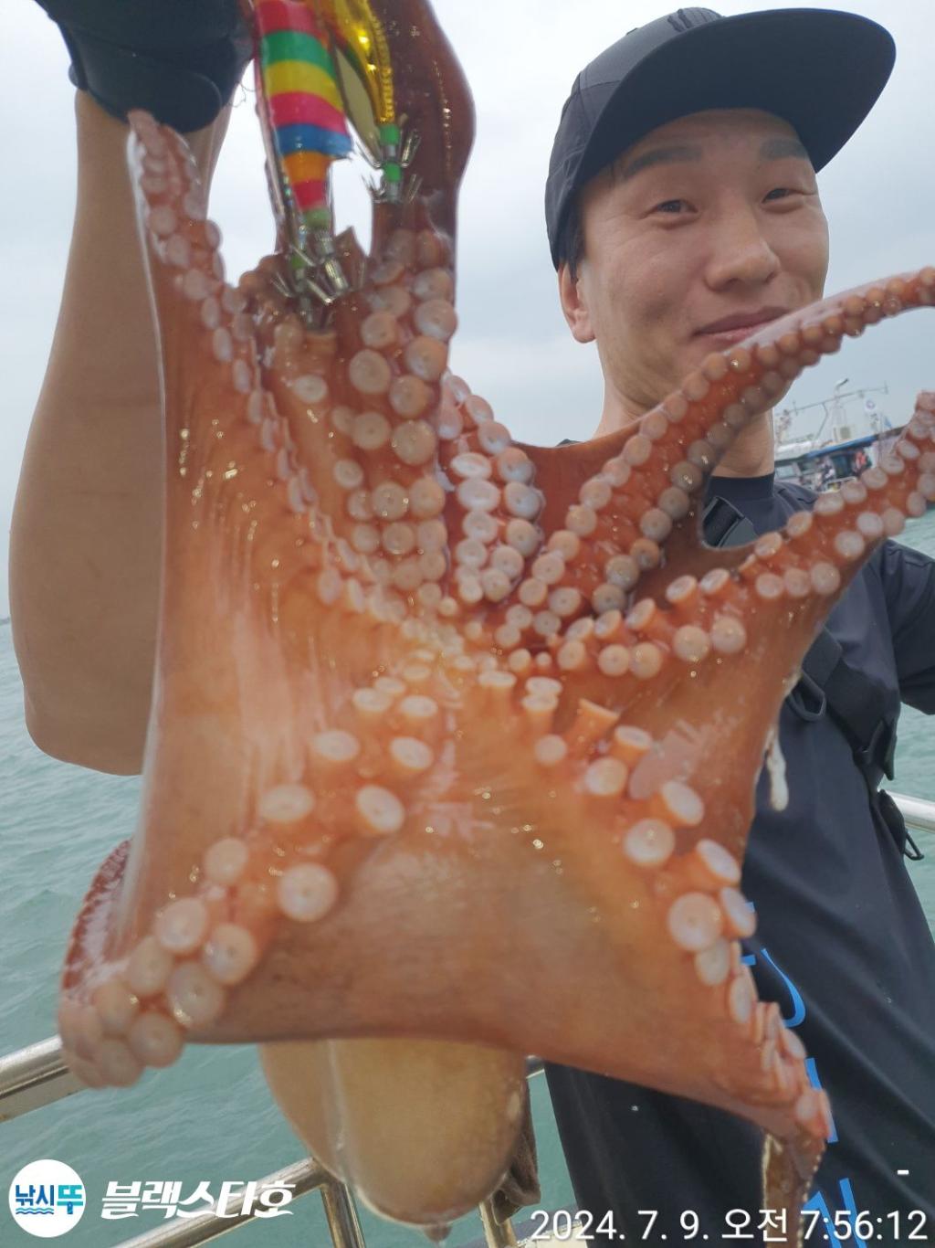 낚시뚜,돌문어,삼천포 팔포항,삼천포 블랙스타,낚시뚜4