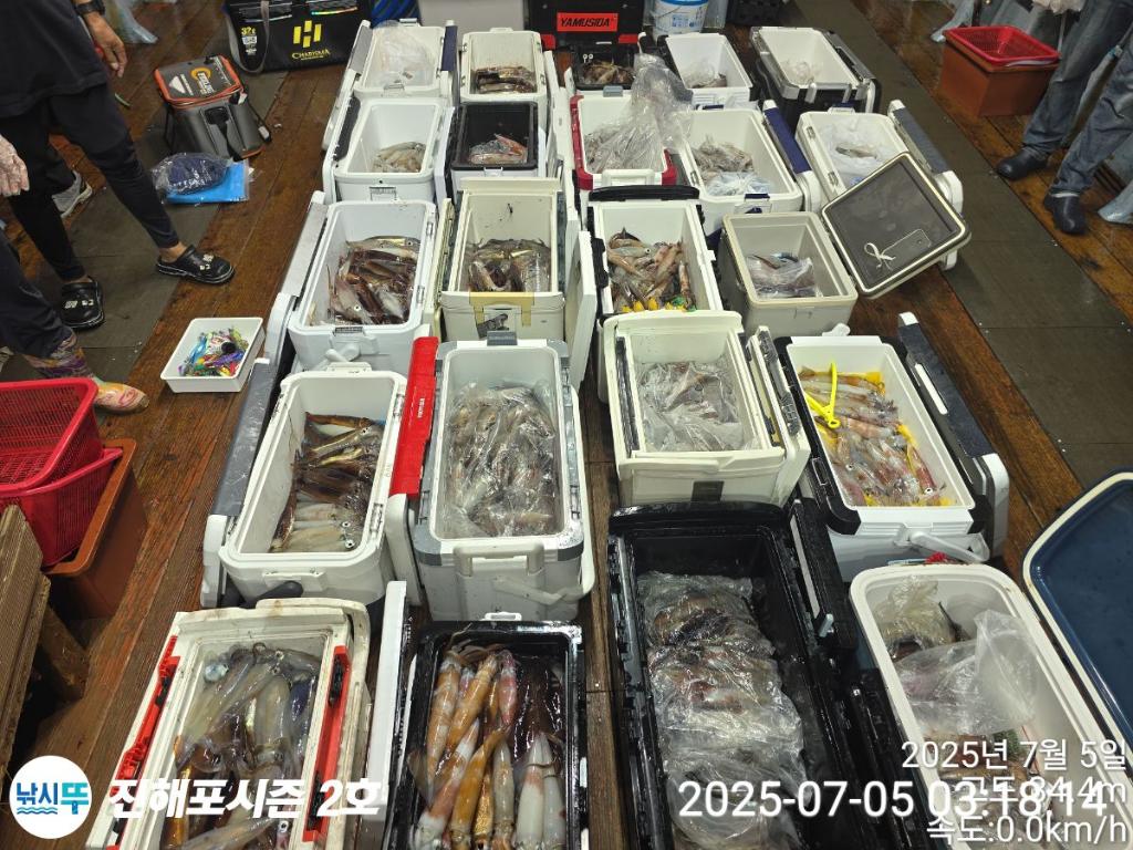 낚시뚜,오징어,한치,진해행암항,진해포시즌 2호,낚시뚜2