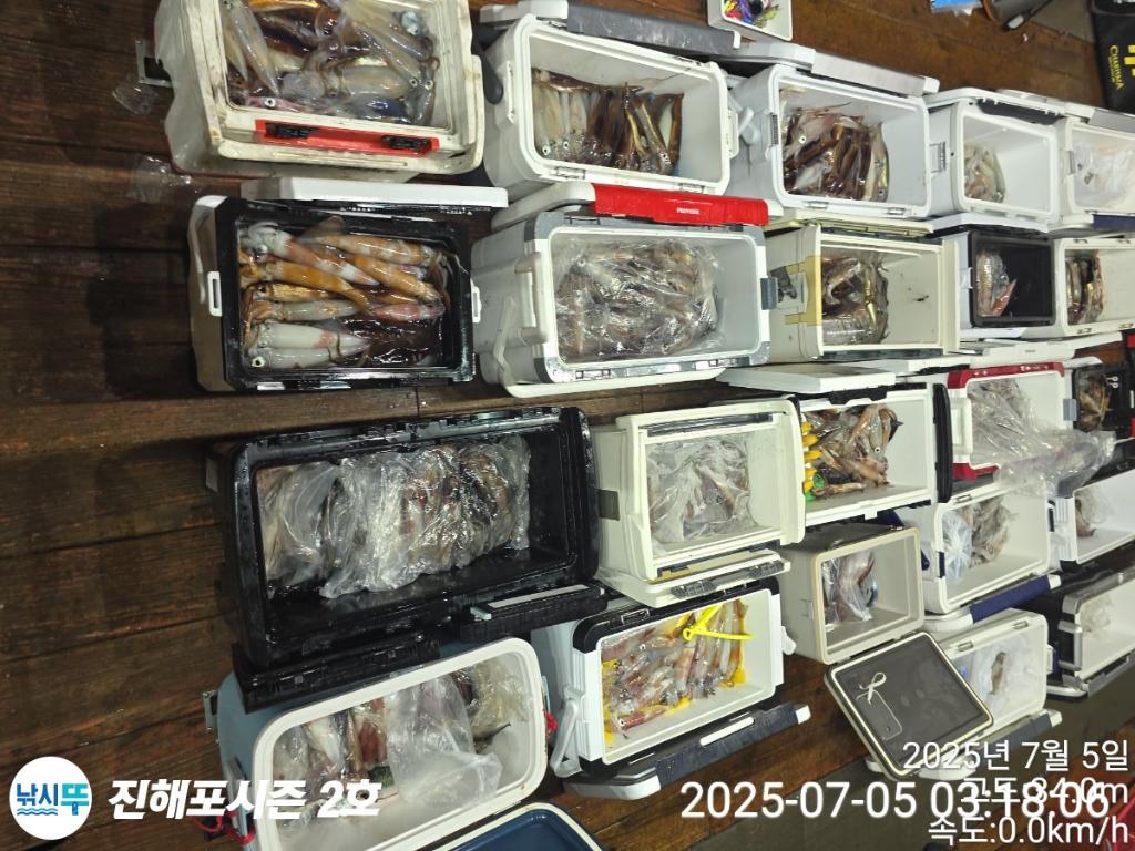 낚시뚜,오징어,한치,진해행암항,진해포시즌 2호,낚시뚜0