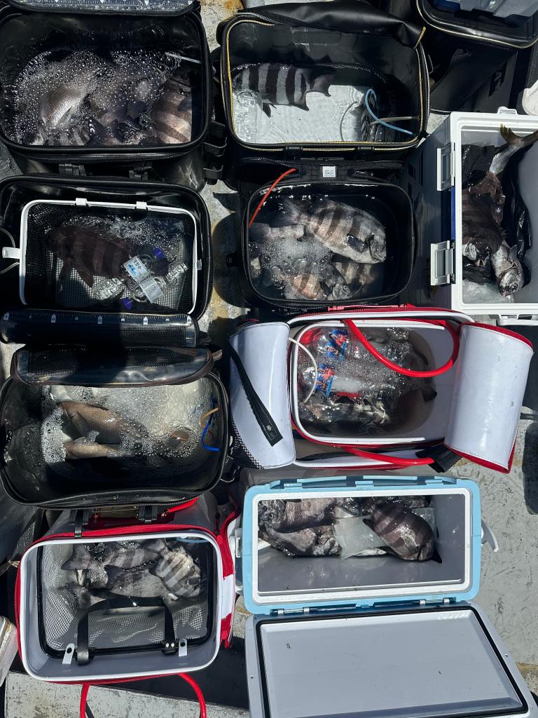 낚시뚜,,삼천포 신향마을,한사리피싱,낚시뚜1