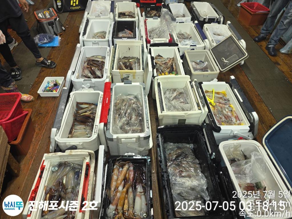 낚시뚜,오징어,한치,진해행암항,진해포시즌 2호,낚시뚜22