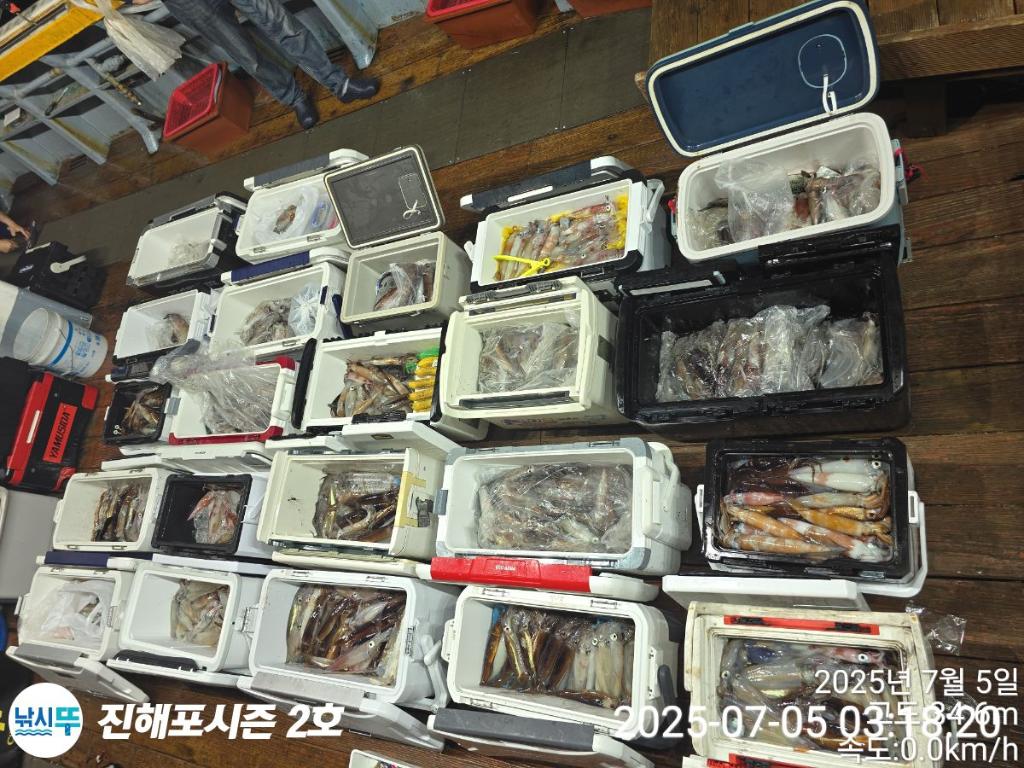 낚시뚜,오징어,한치,진해행암항,진해포시즌 2호,낚시뚜21