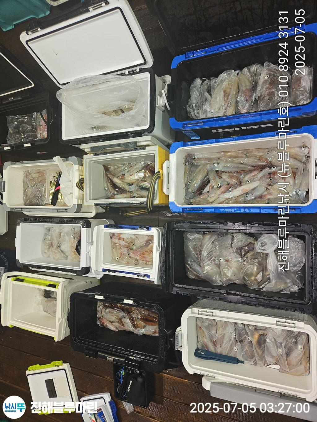 낚시뚜,한치,진해수도항,진해블루마린낚시,낚시뚜3