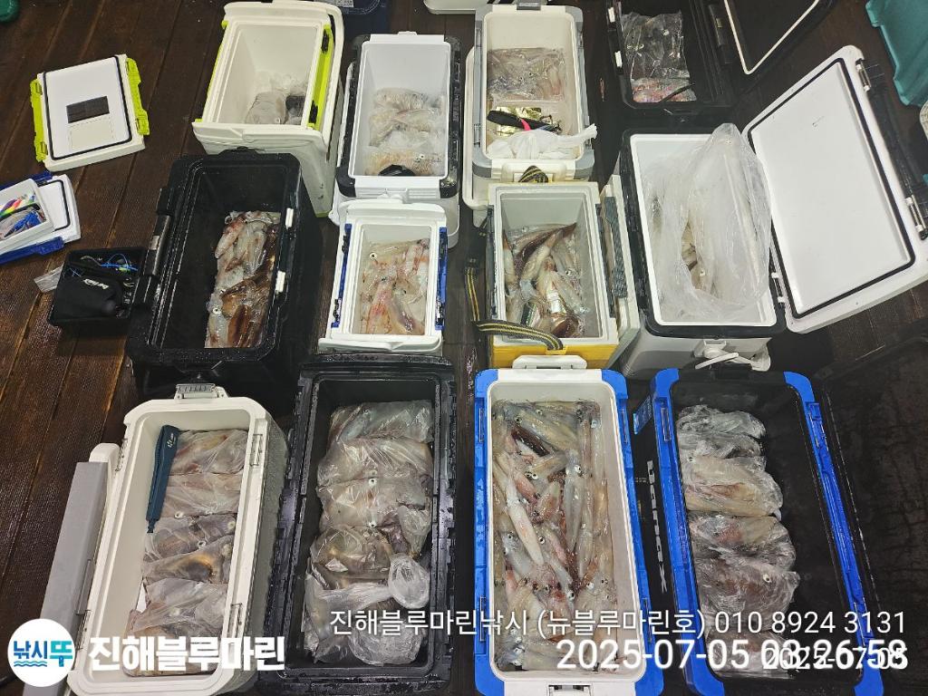 낚시뚜,한치,진해수도항,진해블루마린낚시,낚시뚜0