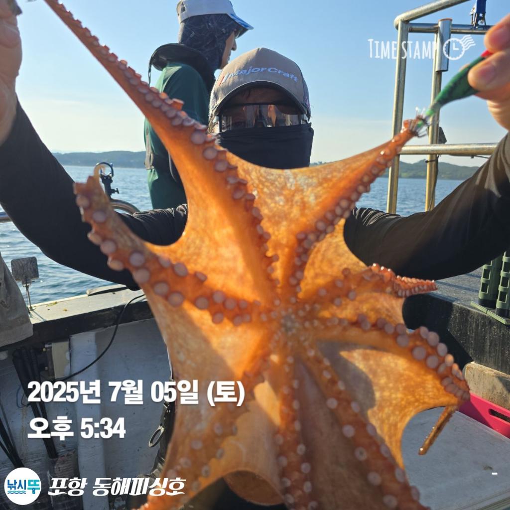 낚시뚜,돌문어,포항(운하관),포항 동해피싱호,낚시뚜13
