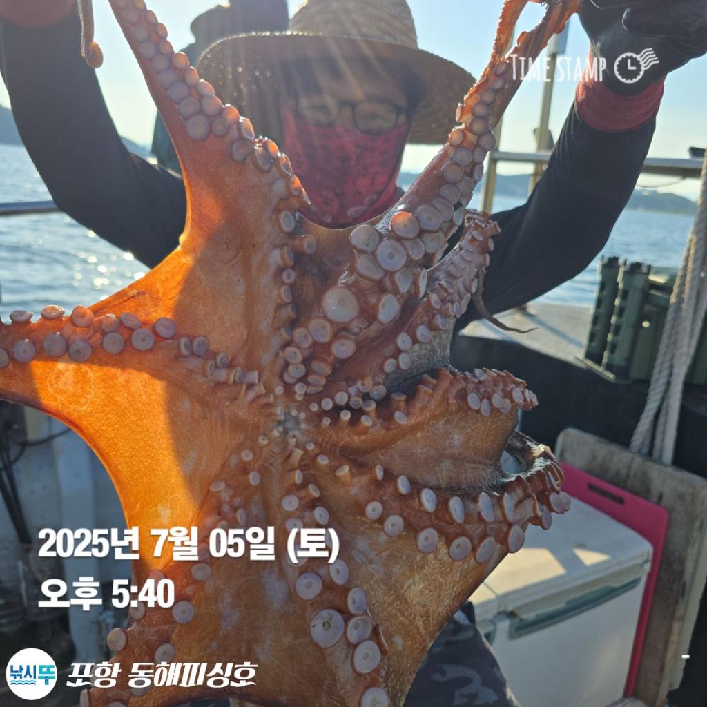 낚시뚜,돌문어,포항(운하관),포항 동해피싱호,낚시뚜7