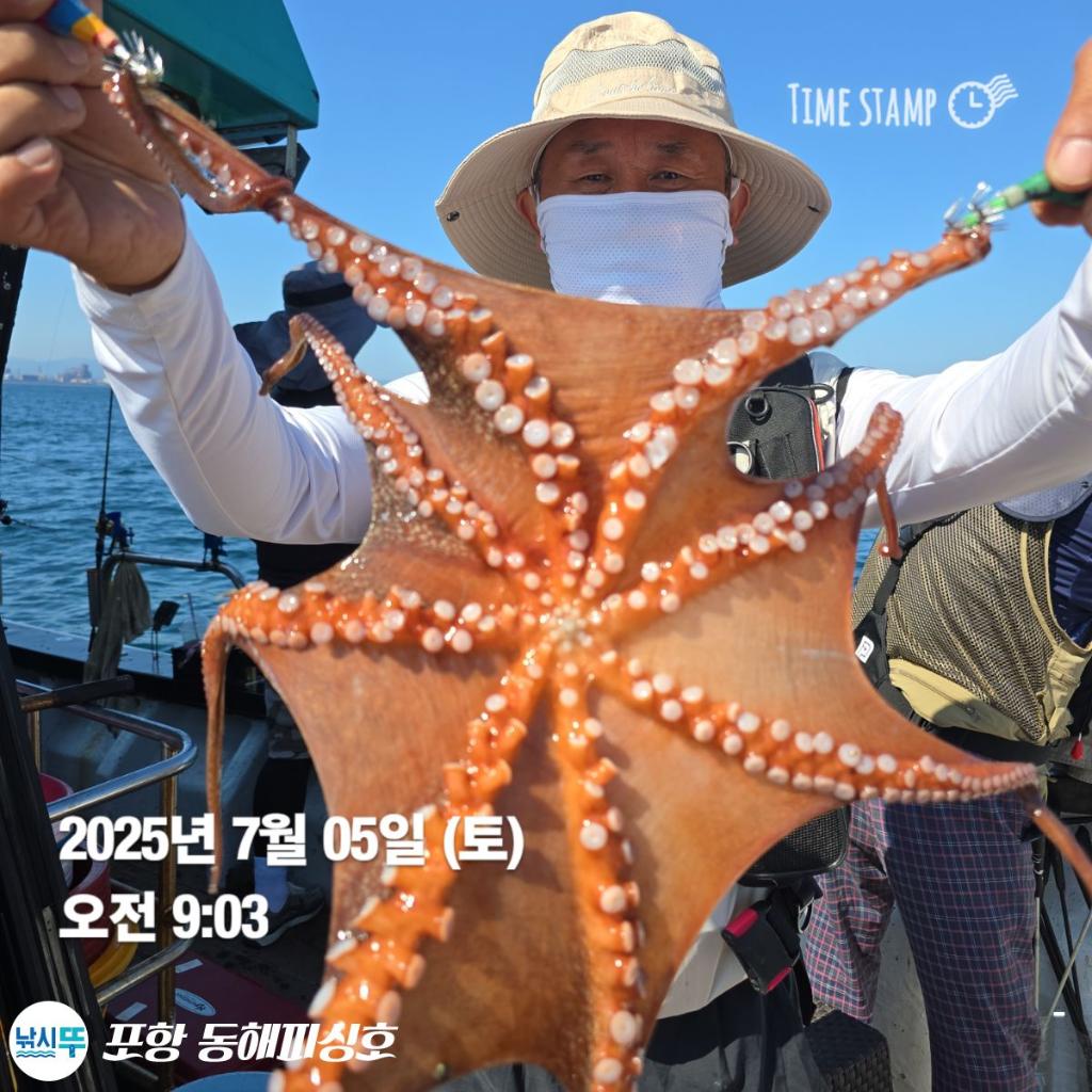 낚시뚜,돌문어,포항(운하관),포항 동해피싱호,낚시뚜2