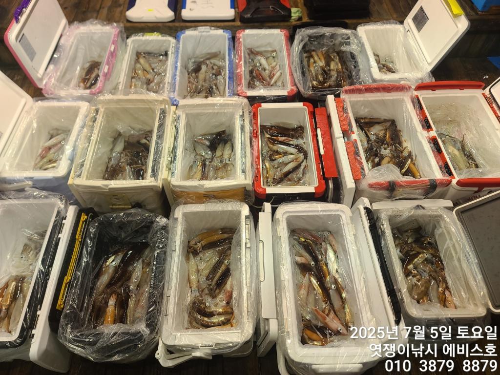 낚시뚜,기타 (직접입력),삼포항,엿쟁이낚시,낚시뚜1