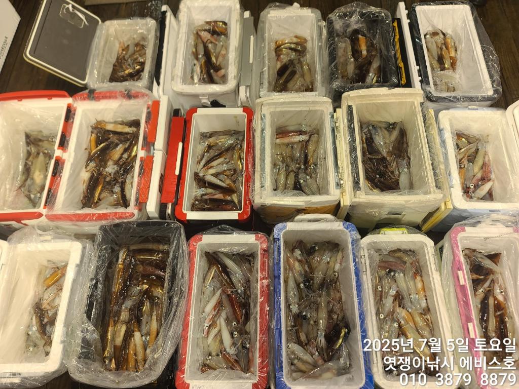 낚시뚜,기타 (직접입력),삼포항,엿쟁이낚시,낚시뚜0