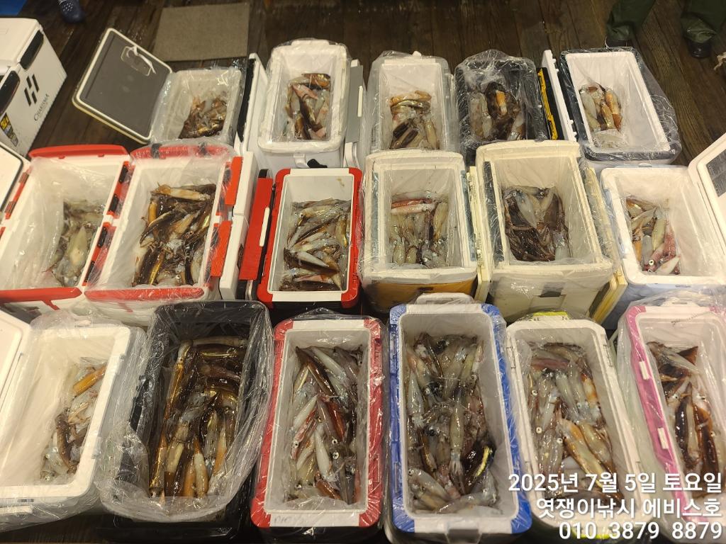 낚시뚜,기타 (직접입력),삼포항,엿쟁이낚시,낚시뚜2