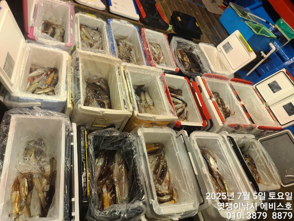 낚시뚜,기타 (직접입력),삼포항,엿쟁이낚시,낚시뚜3