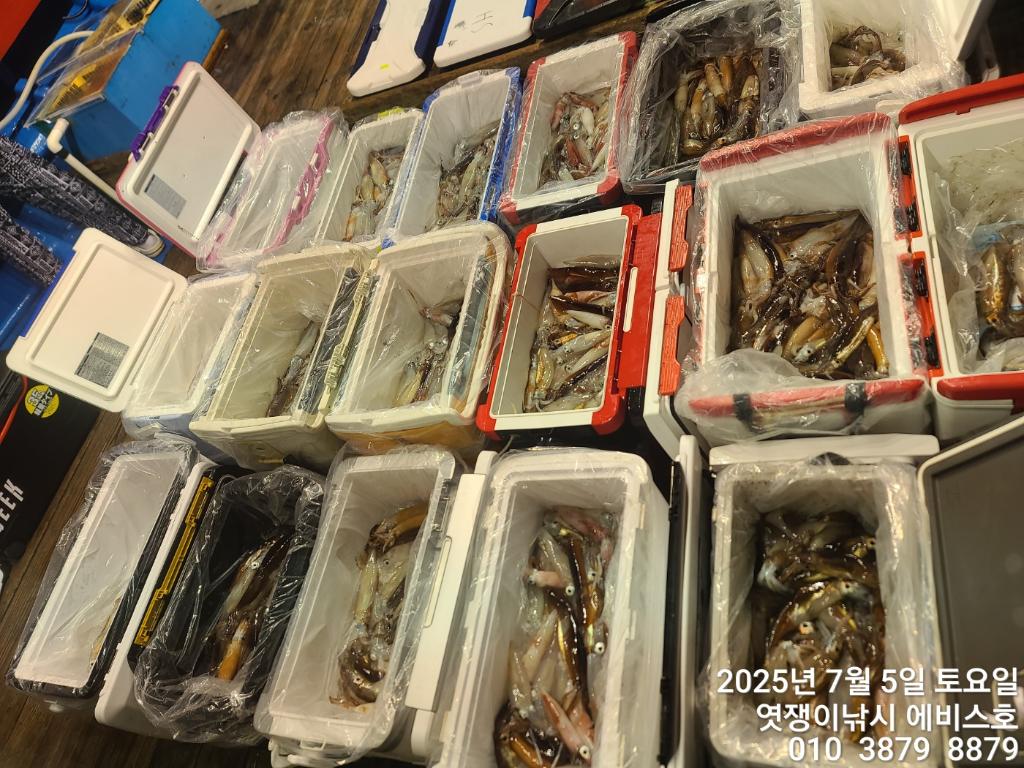 낚시뚜,기타 (직접입력),삼포항,엿쟁이낚시,낚시뚜4