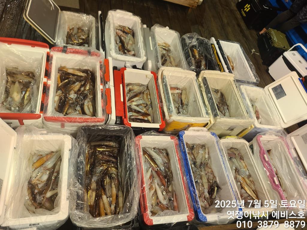 낚시뚜,기타 (직접입력),삼포항,엿쟁이낚시,낚시뚜5