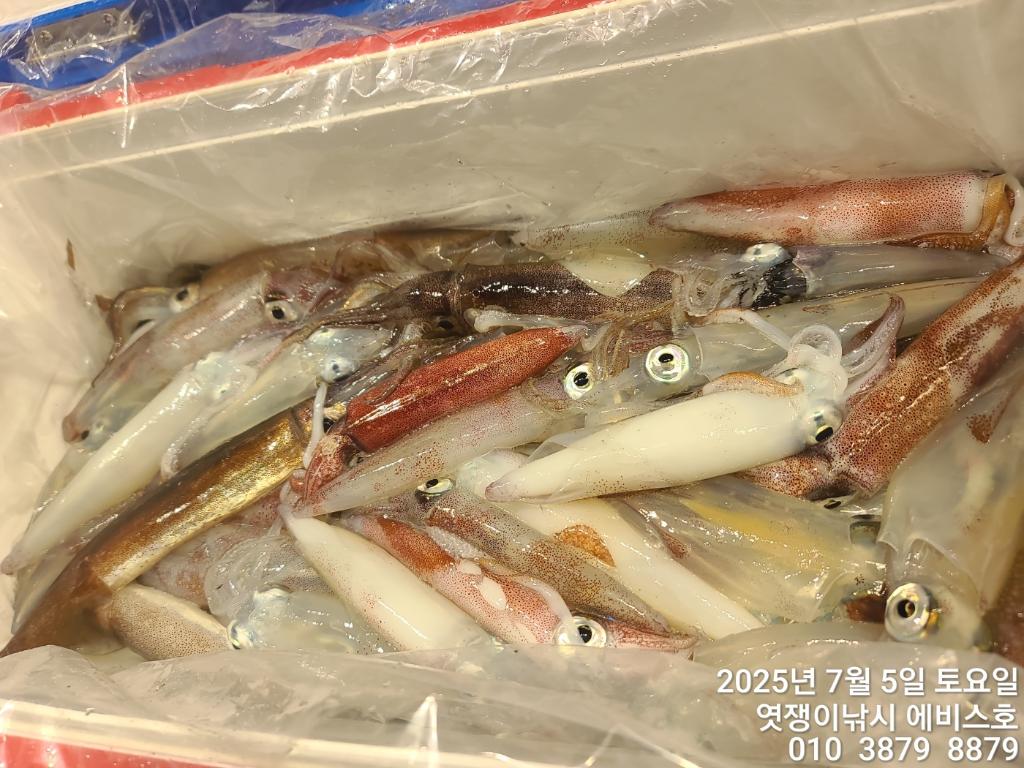 낚시뚜,기타 (직접입력),삼포항,엿쟁이낚시,낚시뚜16