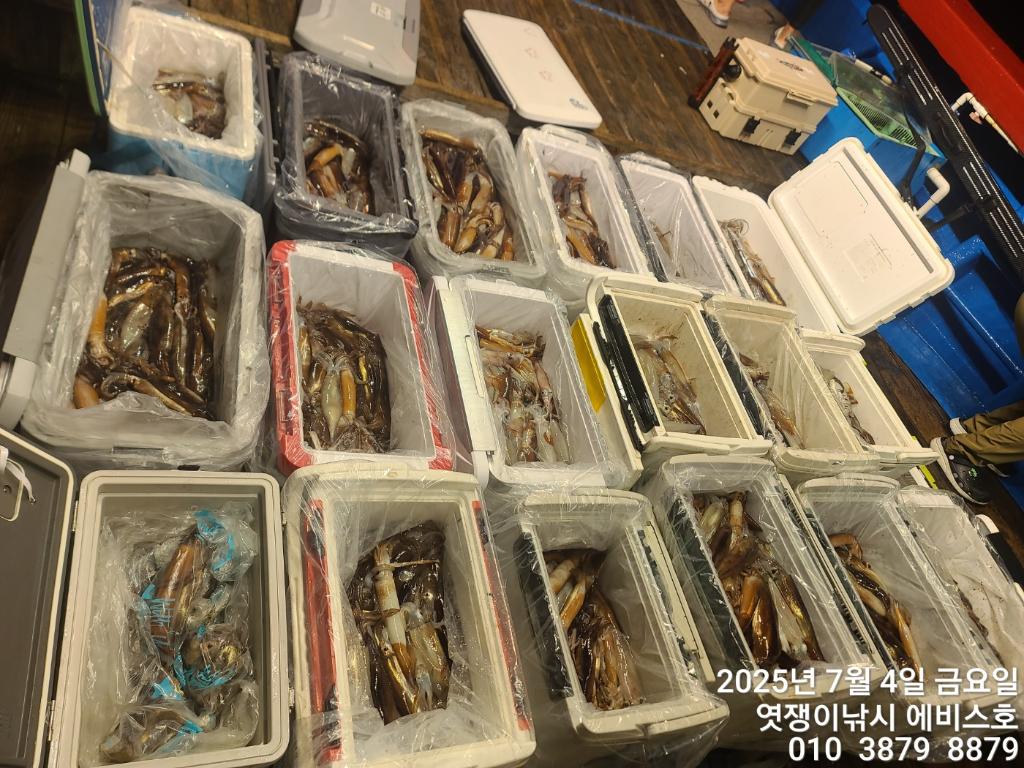 낚시뚜,기타 (직접입력),삼포항,엿쟁이낚시,낚시뚜48