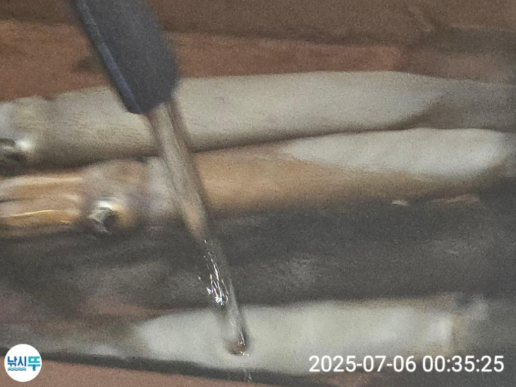 F2719400T2.jpg