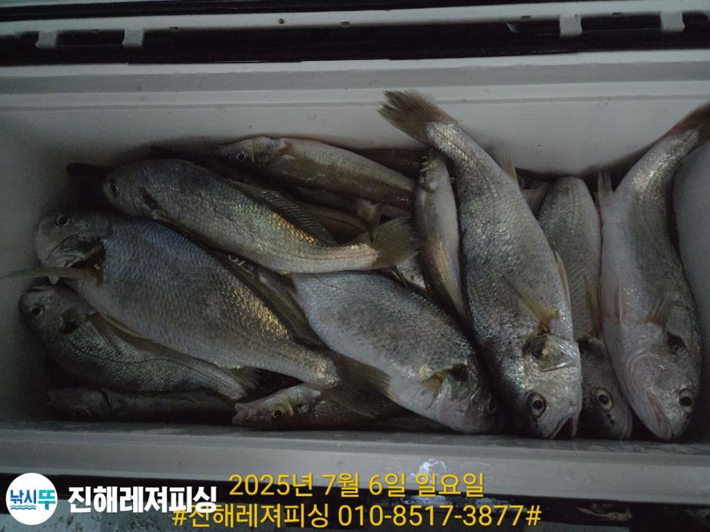 낚시뚜,돌문어,백조기,진해1부두항,진해레져피싱,낚시뚜11