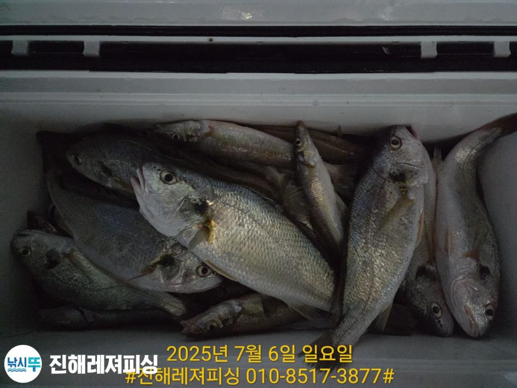 낚시뚜,돌문어,백조기,진해1부두항,진해레져피싱,낚시뚜10