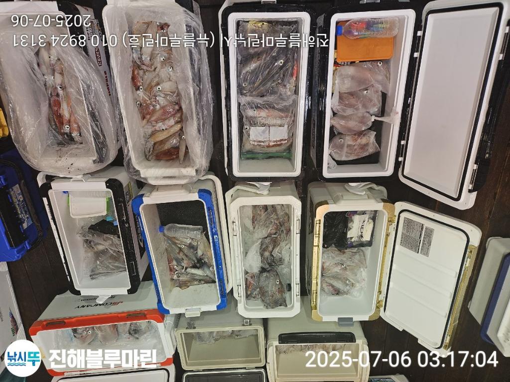 낚시뚜,한치,진해수도항,진해블루마린낚시,낚시뚜24
