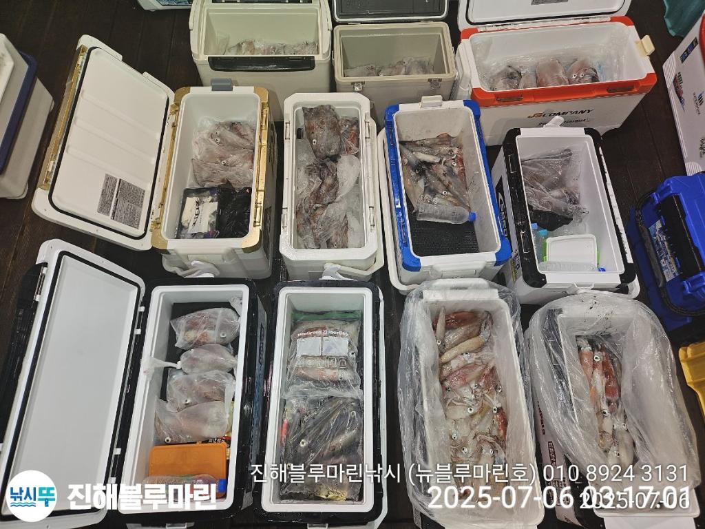 낚시뚜,한치,진해수도항,진해블루마린낚시,낚시뚜0