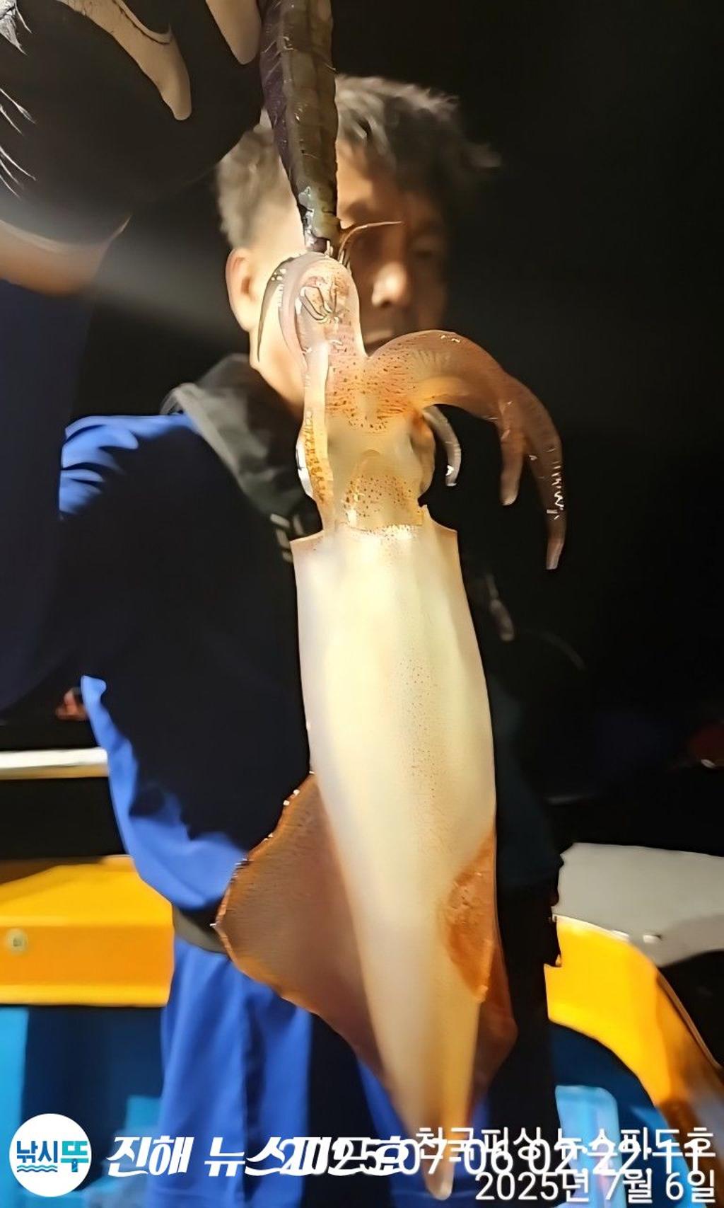 낚시뚜,한치,진해행암항,진해 뉴스피드호,낚시뚜4