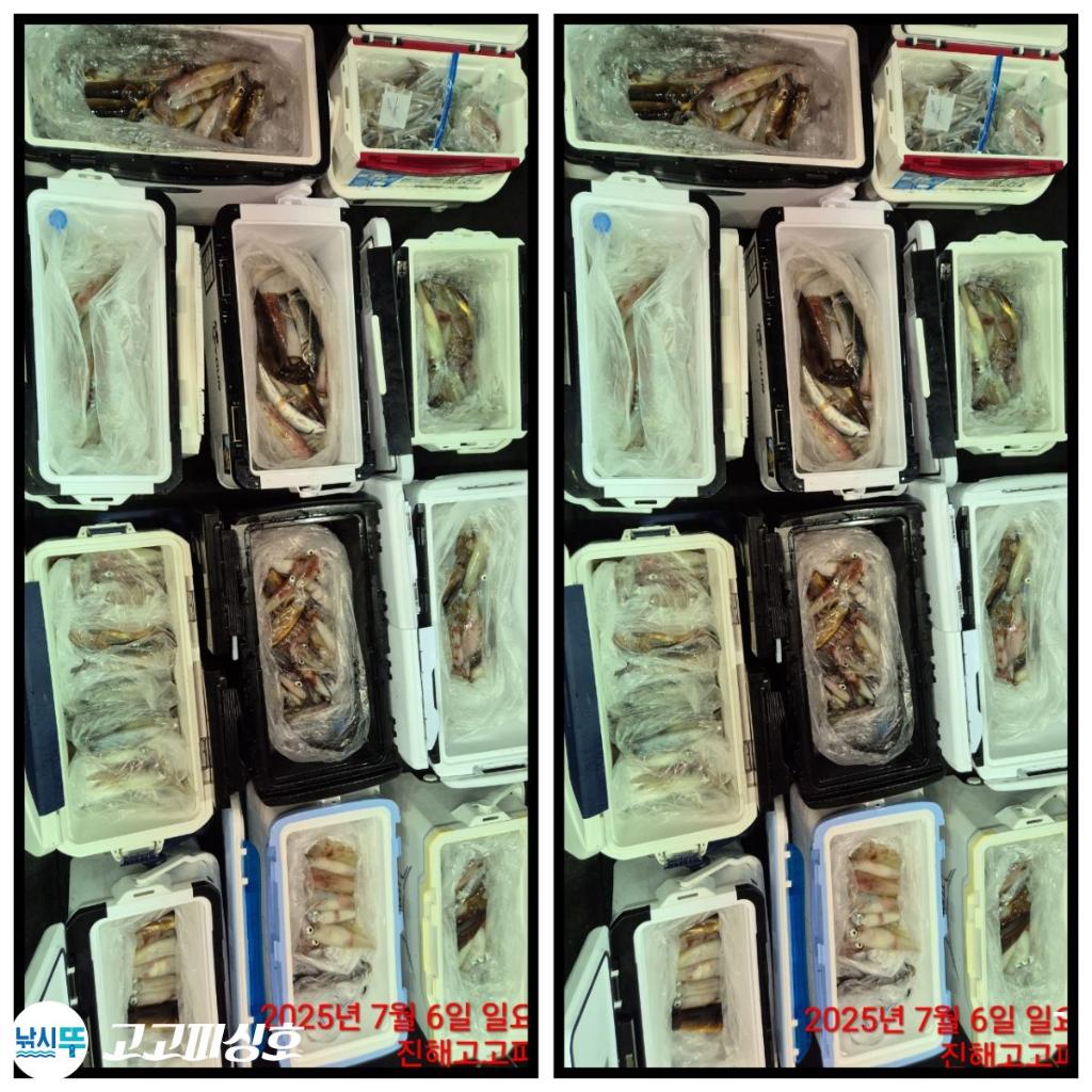낚시뚜,한치,속천항(진해),고고피싱호,낚시뚜28