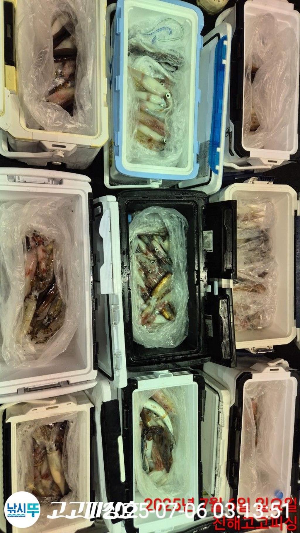낚시뚜,한치,속천항(진해),고고피싱호,낚시뚜20